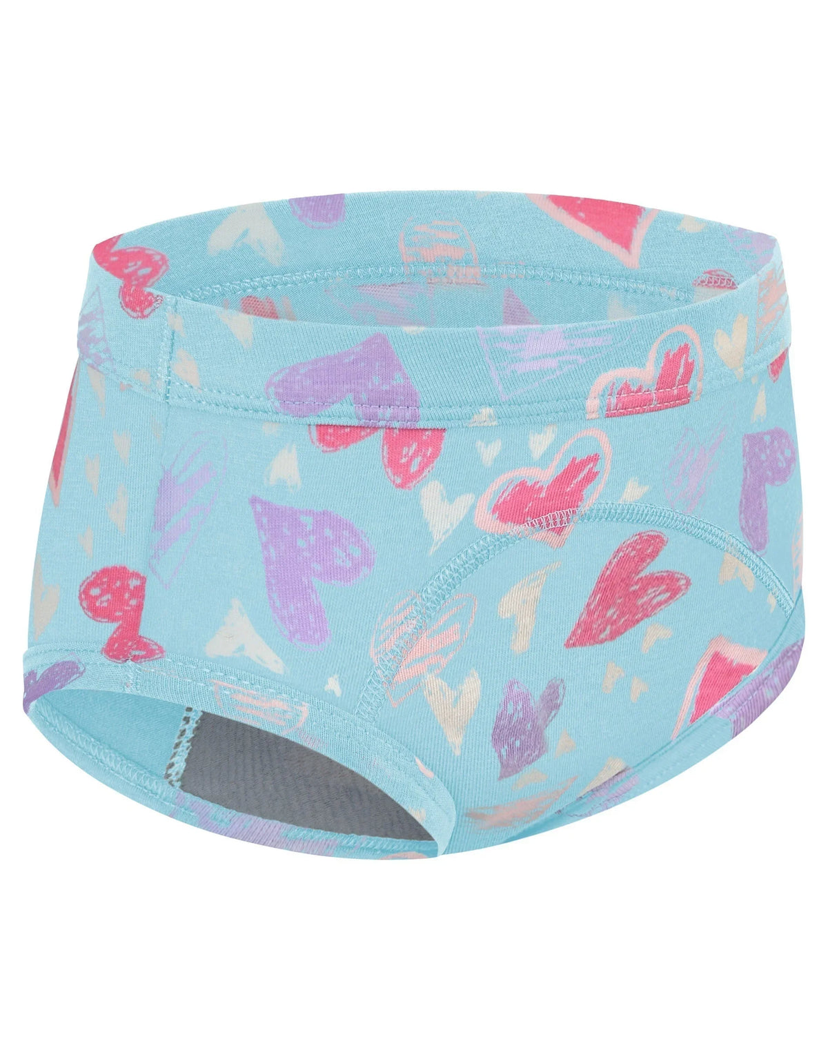 Hanes Toddlers' Girls' Heavy Absorbency Underwear Briefs Pack, 5-Pack, Potty Training, Prints Main image