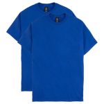 Hanes Beefy-T Men's Heavyweight Cotton T-Shirt, Value 2-Pack (Big & Tall Sizes) #O518T