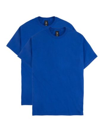 Hanes Beefy-T Men's Heavyweight Cotton T-Shirt, Value 2-Pack (Big & Tall Sizes) #O518T