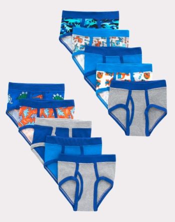 Hanes Toddler Boys' Tagless Briefs, Dinosaur Prints & Solids, 10-Pack #BTTW10