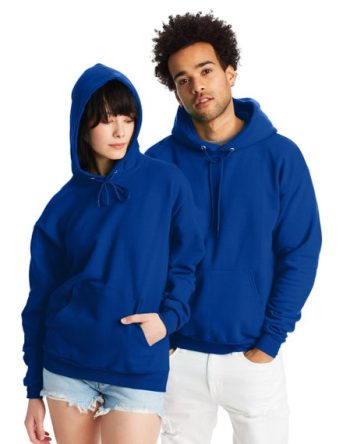 Hanes EcoSmart Unisex Fleece Hoodie (Big & Tall Sizes Available) #P170