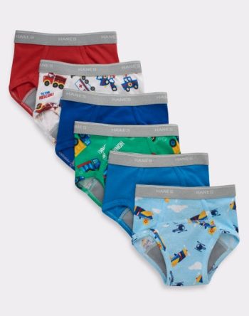 Hanes Toddler Boys' Potty Trainer Brief Underwear, 6-Pack #TBLLR6
