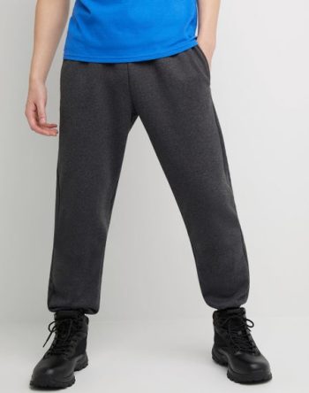 Hanes Sport Ultimate Men's Fleece Joggers, 32 #OF360