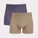 Hanes Explorer Premium Men's Trunks, Purple/Tan, 2-Pack #9EX2T2
