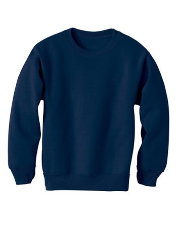 Hanes EcoSmart Kids' Crewneck Sweatshirt #OP360