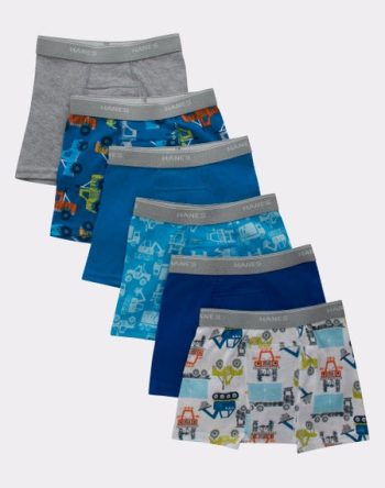 Hanes Boys' Potty Trainer Boxer Briefs, Assorted, 6-Pack #TBLLB6