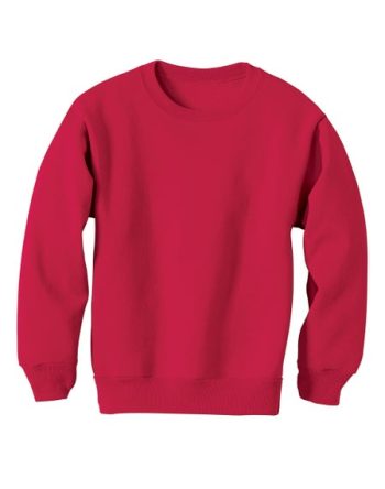 Hanes EcoSmart Kids' Crewneck Sweatshirt #P360