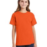 Hanes Youth ComfortSoft T-Shirt #5480